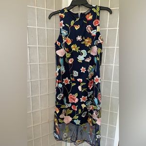 NWT Donna Ricco sz 6 embroidered dress.  Navy.  Lined.  New $128 selling for $65